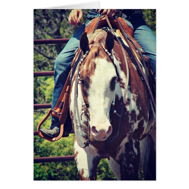 Cartão Cavalo de Pintura Ocidental (Frente)