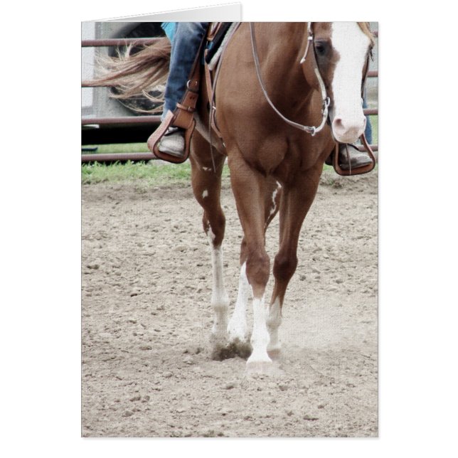 Cartão Cavalo de Pintura Ocidental (Frente)