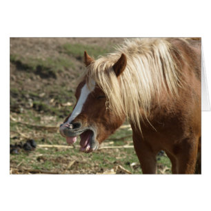 Cartão Cavalo de riso