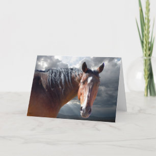 Cartão Cavalo de um quarto americano da baía grande -