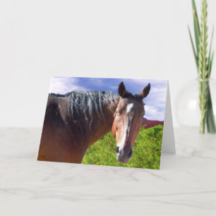 Cartão Cavalo de um quarto americano da baía grande -