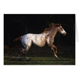 Cartão Cavalo do Appaloosa que funciona 4