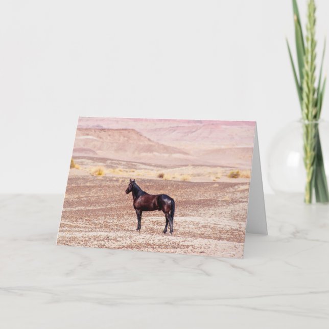 Cartão Cavalo do Deserto P8664 (Frente)