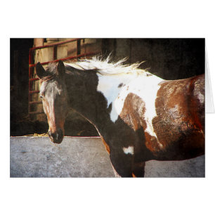 Cartão Cavalo do Pinto
