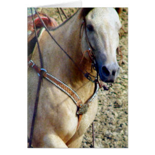 Cartão Cavalo do rodeio do Buckskin