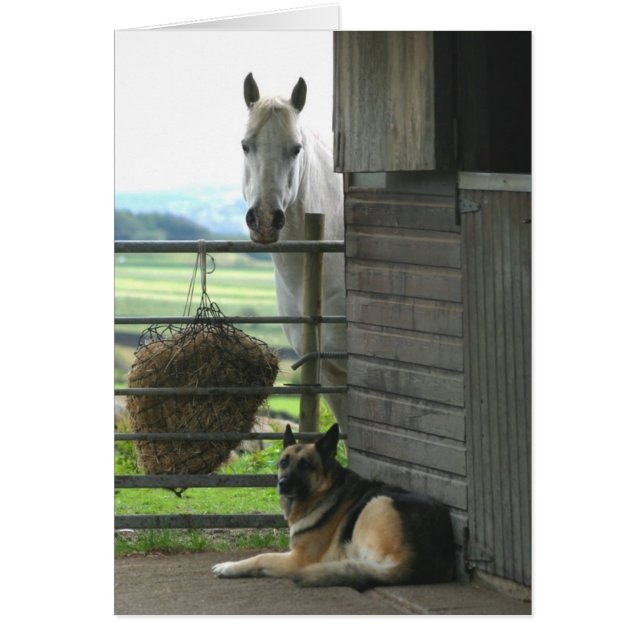 Cartão Cavalo e Cão (Frente)