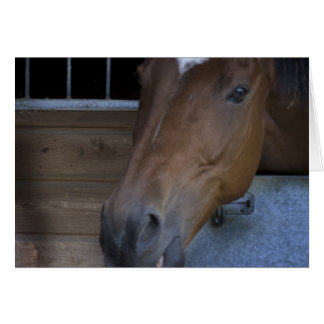 CARTÃO CAVALO ESTÁVEL