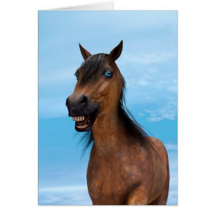 Cartão Cavalo Feliz