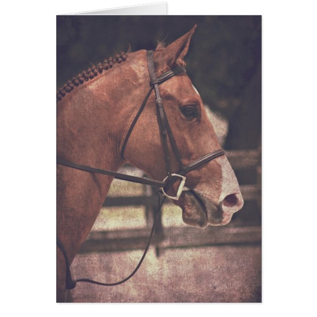 Cartão Cavalo Inglês (Frente)