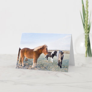 Cartão Cavalo Islandês Durante o Inverno na Islândia