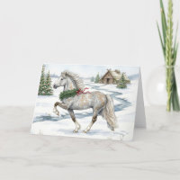Cavalo Islandês Festivo em Paisagem de Inverno