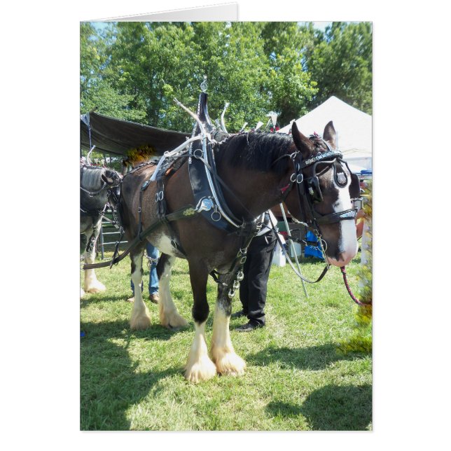 Cartão Cavalo Justo (Frente)