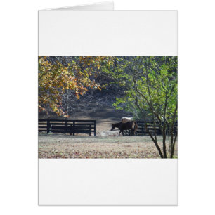 Cartão Cavalo Marrom andando pela cerca