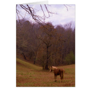 Cartão Cavalo Marrom e Loiro em um campo