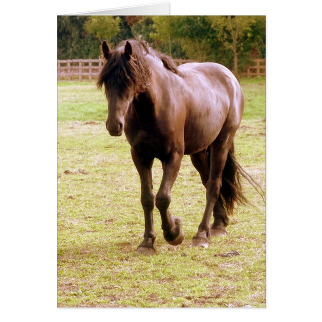 Cartão Cavalo Marrom Relaxado Andando (Frente)