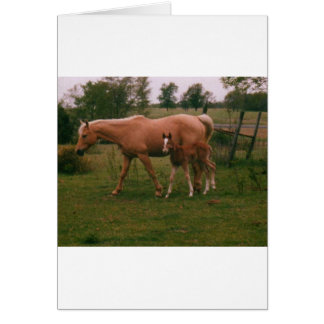 Cartão Cavalo Moma e cavalo bebê