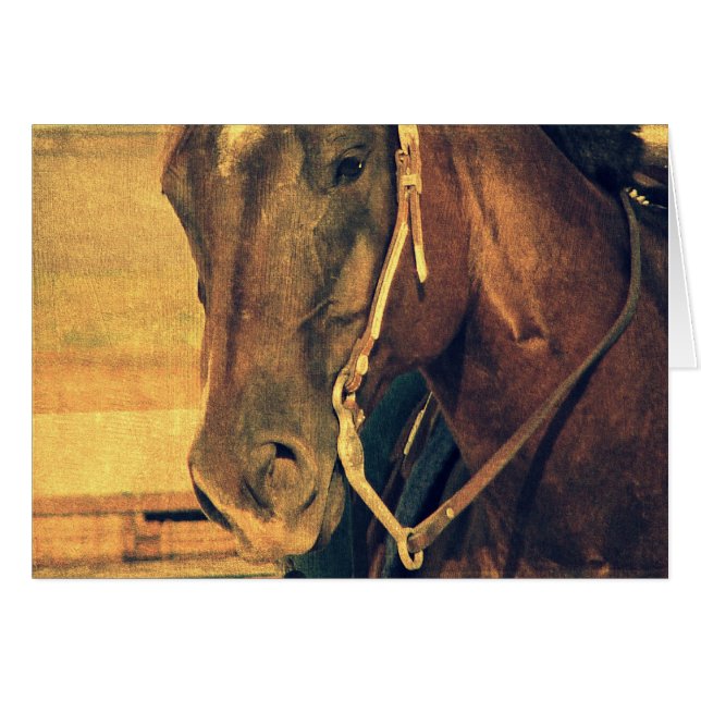 Cartão Cavalo Ocidental (Frente Horizontal)