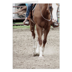 Cartão Cavalo ocidental da pintura