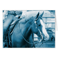 Cavalo Ocidental em Sombras de Azul