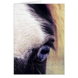 Cartão Cavalo Olho Azul