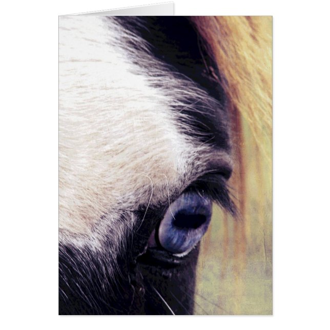 Cartão Cavalo Olho Azul (Frente)