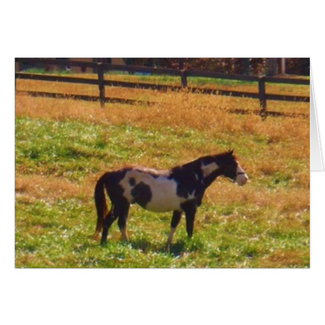 Cartão Cavalo Pintado à Distância (Frente Horizontal)