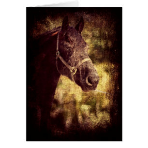 Cartão Cavalo Preto