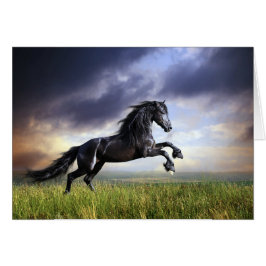 Cartão Cavalo preto do frisão