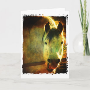 Cartão Cavalo Risonho, Aniversário