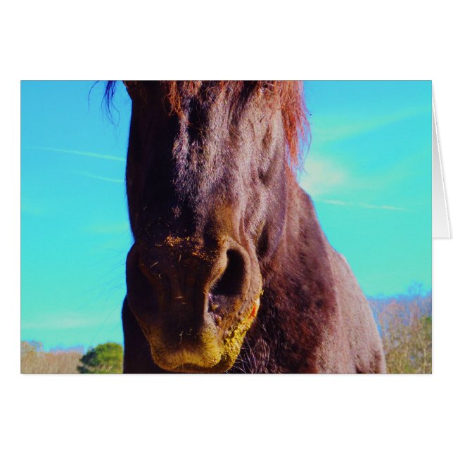 Cartão Cavalo Roxo com Boca Verde (Frente Horizontal)