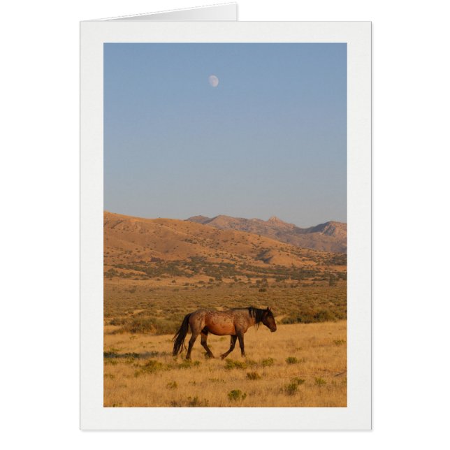 CARTÃO CAVALO SELVAGEM COM NOVA LUA NOTECARD (Frente)