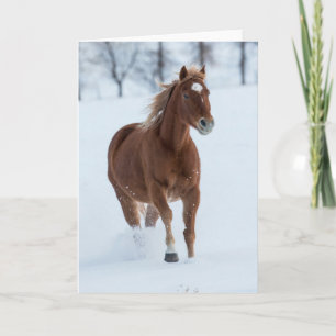 Cartão Cavalo Solitário Correndo na Neve