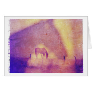 Cartão Cavalo Sonha Todas As Ocasiões