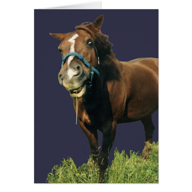 Cartão Cavalo Sorridente (Frente)