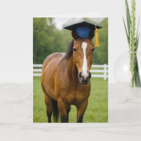 Cavalo Usando Boina de Graduação Azul