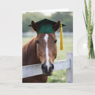 Cartão Cavalo Usando um Chapéu Verde de Formatura