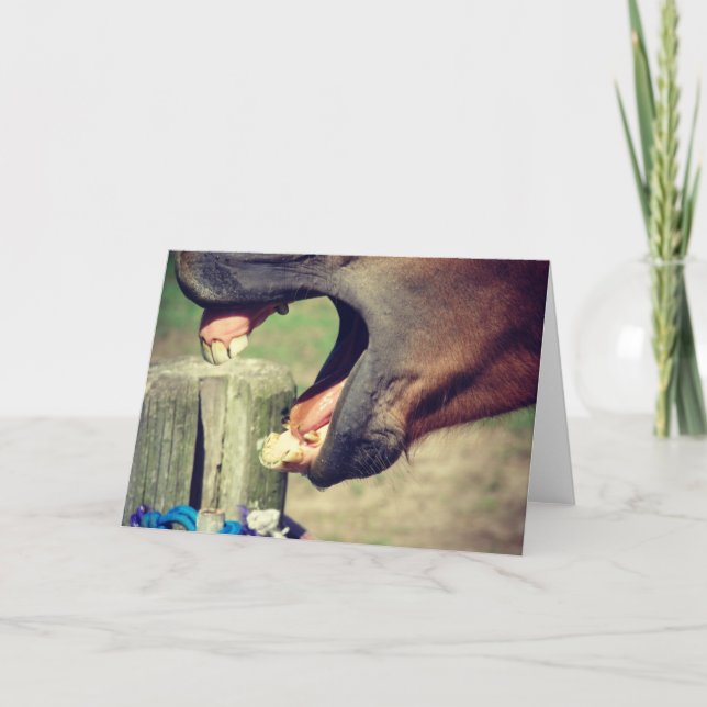 Cartão Cavalo Yawn (Frente)