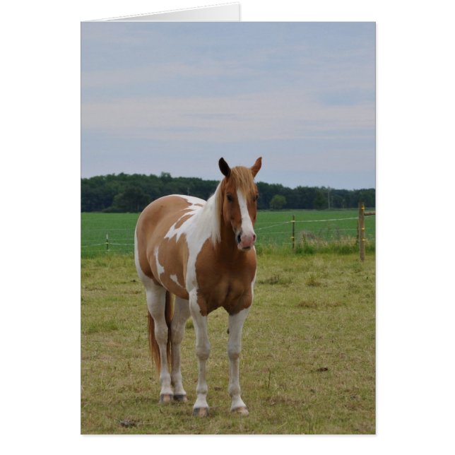 Cartão Cavalos (Frente)