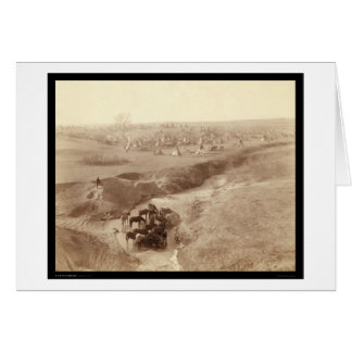 Cartão Cavalos a regar em White Clay Creek SD 1891