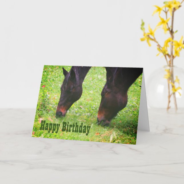 Cartão Cavalos Amigos Grazing Animal Birthday Card (Flor Amarela)