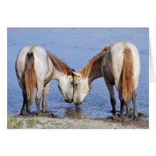 CARTÃO CAVALOS APAIXONADOS