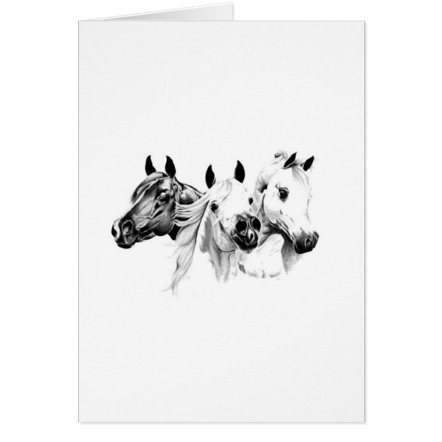 Cartão Cavalos Árabes (Frente)