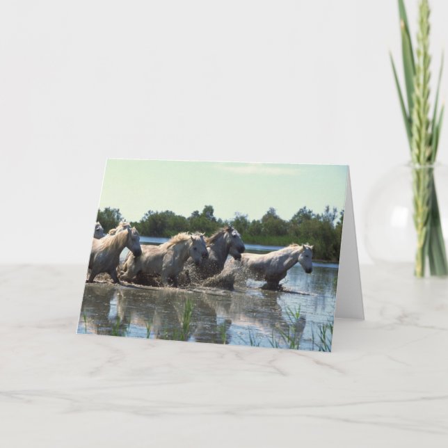 Cartão Cavalos atravessando água (Frente)