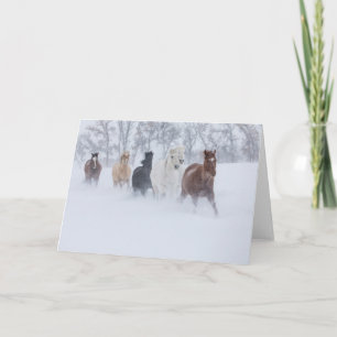 Cartão Cavalos Correndo Através da Neve