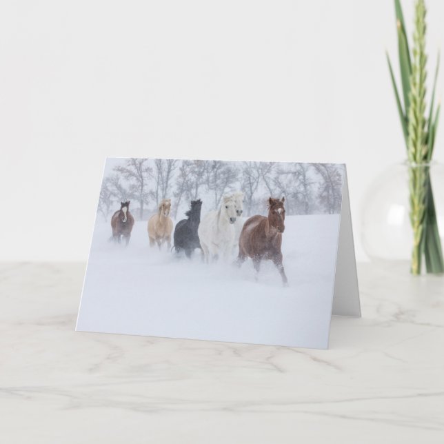 Cartão Cavalos Correndo Através da Neve (Frente)