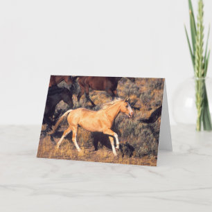 Cartão Cavalos correndo uma Fazenda Ponderosa