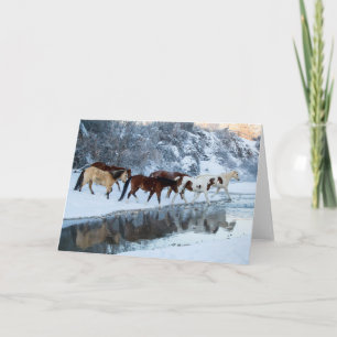 Cartão Cavalos cruzando o riacho