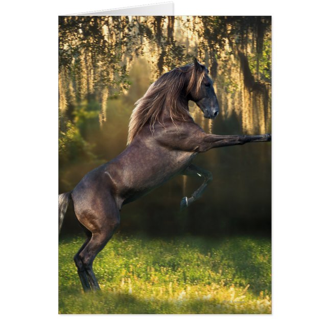 Cartão Cavalos da fantasia: Príncipe do guerreiro (Frente)