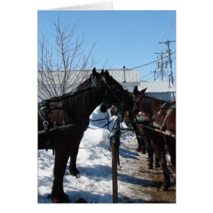 Cartão Cavalos de Amish