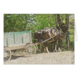 Cartão Cavalos de Amish e Vagão